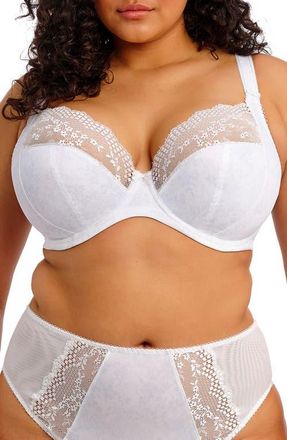 Elomi Lucie Full Figure Underwire Plunge Bra in White at Nordstrom, Size 38Hh