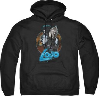 Gildan Justice League of America Gut Rot Adult Pull Over Hoodie / Hooded Sweatshirt