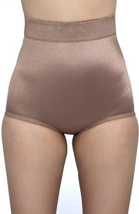 Rago High Waist Tummy Control Panty in Mocha at Nordstrom, Size 30