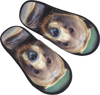 Generic Plush Slippers Grizzly Bear Breathable Slipper Reusable Cotton Slipper For Men Indoor Ladies M