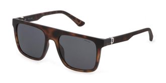 Police SPLF61E 878Y Mens Sunglasses Tortoiseshell Size 55