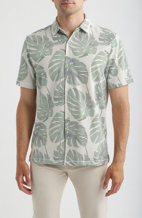 Tommy Bahama Costa Wave Monstera Mash Seersucker Stripe IslandZone Short Sleeve Button-Up Shirt in Dark Jade at Nordstrom, Size 3Xlt