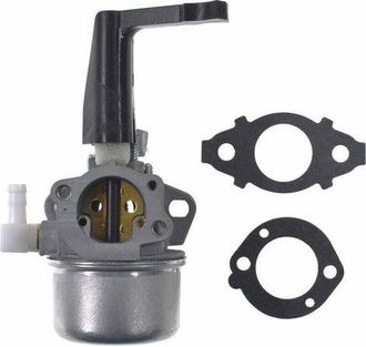 OEM Carburador De Repuesto Con Kit De Juntas Para Briggs & Stratton 696065 697422 110402 0206 E1