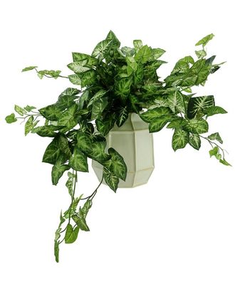 Creative Displays Inc. Green Nepth Plant Arrangement In Ceramic Vase