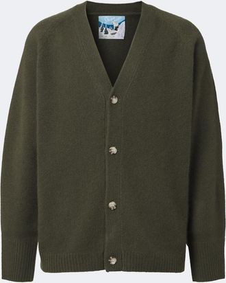 arch4 Cardigan Mr. Sage in cashmere