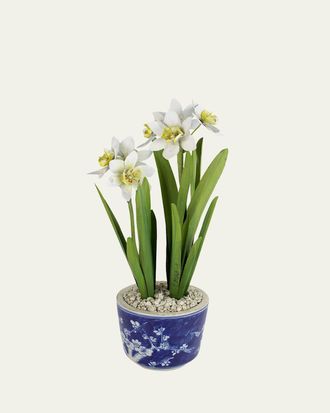Tommy Mitchell Narcissus December Birth Flower in Blue/White Ceramic Pot