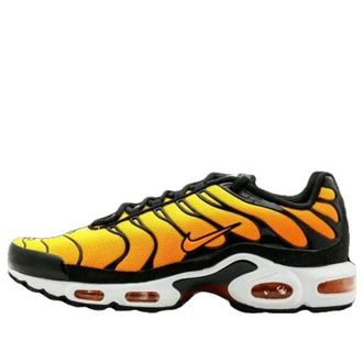 Nike Air Max Plus TXT TN Tiger 647315-700