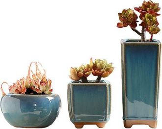 OEM Juego De 3 Macetas De Cer&aacute;mica Esmaltada, Ideales Para Plantas, Cactus O Mini Bons&aacute;is, Perfectas Para La Decoraci&oacute;n Del Hogar O La Oficina (plantas No