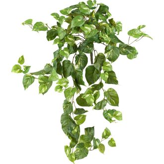 Nearly Natural 40-in Pothos Hanging Bush in Green at Nordstrom