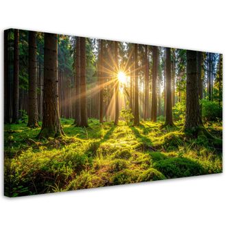 Feeby Impresi&oacute;n De Imagen, Bosque &Aacute;rboles Amanecer, 120x60