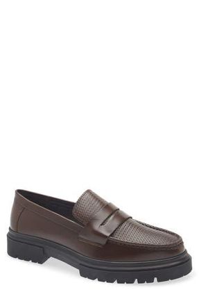 Steve Madden Zarco Penny Loafer in Brown at Nordstrom Rack, Size 10.5