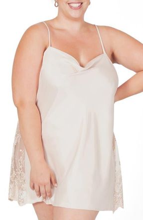 Rya Collection Darling Lace Trim Chemise in Champagne at Nordstrom, Size 1X