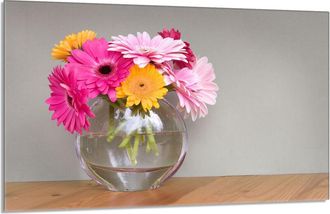 OEM Protector De Cristal Para Encimera De Cocina 80x52 Flores