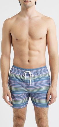 Chubbies The Blossom Bands 5.5-Inch Swim Trunks in Dusty Blue at Nordstrom, Size X-Large
