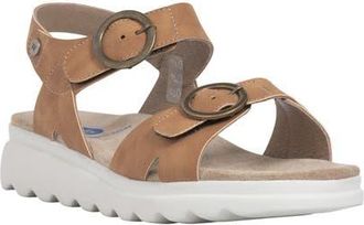Wolky Voyage Ankle Strap Sandal in Tan at Nordstrom, Size 5.5Us