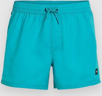 O'Neill Jack Vert Retro 14 Boardshorts blauw