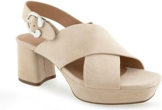 Aerosoles Pura Platform Sandal in Stone Suede at Nordstrom, Size 8.5