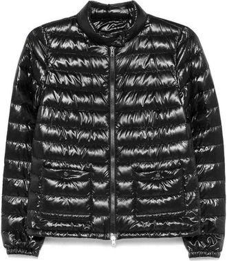 Herno Padded Jacket