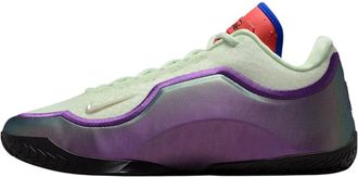 Nike Trainingsschoenen - Heren - Fitnessschoenen - Veelkleurig - 44 EU - Fitness
