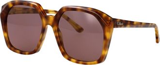 Chlo&eacute; Womens Sunglasses Ch0280s Havana-Violet Acetate Havana-Havana-Violet Havana/havana/violet