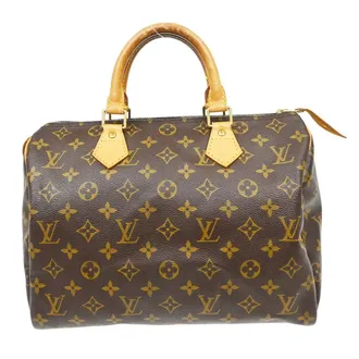 Louis Vuitton Speedy Handbag Monogram Canvas Brown Canvas Handbag (Pre-Owned)