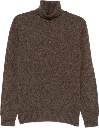 Roberto Collina Coltrui - Bruin