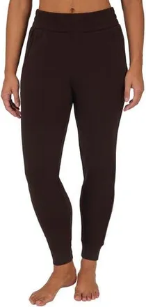 Yogalicious SoftLite District Sandwashed Joggers in Chocolate Mousse at Nordstrom Rack, Size X-Small