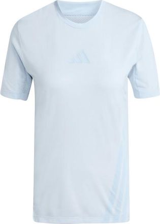 ADIDAS TERREX XPR Tee Funktionsshirt f&uuml;r Damen | grau