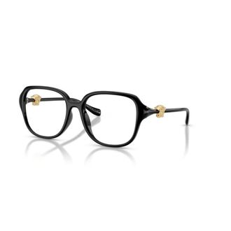 Versace Dames, Accessoires, Zwart, Maat: 55 MM