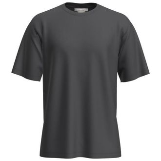 Icebreaker Merino 150 Tech Lite S/S Relaxed Tee Merinoshirt f&uuml;r Herren | grau