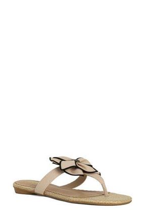 Shushop Brylee Sandal in Blush at Nordstrom Rack, Size 8.5