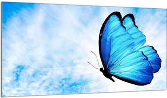 OEM Placa Protectora De Vidrio Para Estufa 90x52 Mariposa