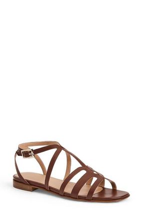 Bruno Magli Fiore Ankle Strap Sandal in Brown Nappa at Nordstrom, Size 10.5