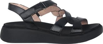 Wonders Zwarte Cordelia Sandaal - Dames - Dames - Sandalen - Zwart - 36 EU - Schoenen