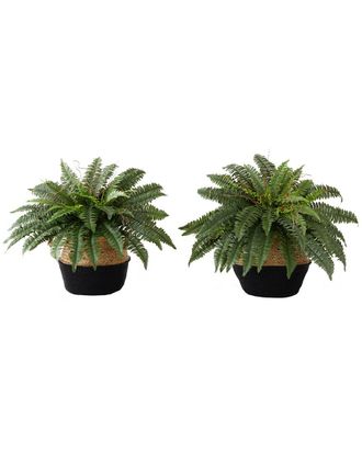 Nearly Natural Set Of Two 23In Artificial Boston Fern Plants With Handmade Basket Diy Kit