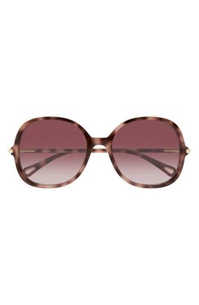 Chlo&eacute; 57mm Gradient Round Sunglasses in Shiny Dark Pink Havana at Nordstrom