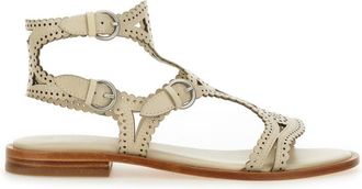 Ash Sandalwood paprika