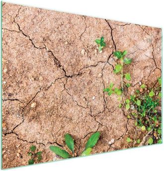 OEM Placa Protectora De Vidrio Para Estufa 70x52 Plantas