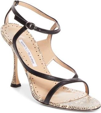 Manolo Blahnik Tibula Ankle Strap Sandal in Blck 0015/ypri 906C at Nordstrom, Size 37.5