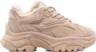 Ash Sneakers