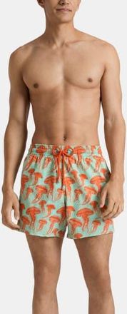 Vilebrequin Stretch Short Swim Trunks in Caribbean at Nordstrom, Size X-Large