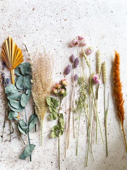 Werde zum Jäger und Sammler: Wie du Blumen selber trocknen kannst und welche Flowers sich dafür besonders eignen