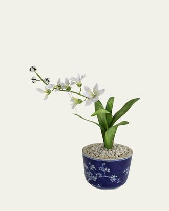 Tommy Mitchell Freesia March Birth Flower in Ceramic Pot