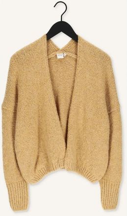 Knit-ted Dames, Truien, Beige, Maat: XS Wol