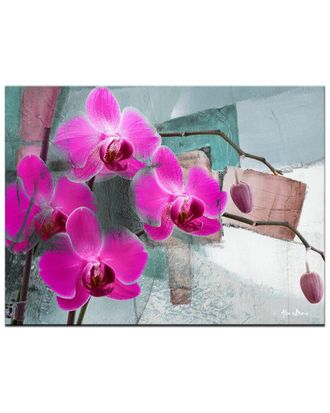 Ready2HangArt Ready2hangart Painted Petals Xiii Wrapped Canvas Wall Art By Tristan Scott