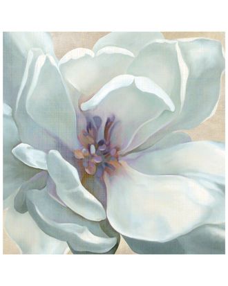 iCanvas Iridescent Bloom I by Carol Robinson Wall Art