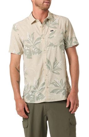 O'Neill TRVLR Perforated Short Sleeve Performance in Light Khaki at Nordstrom, Size Xx-Large