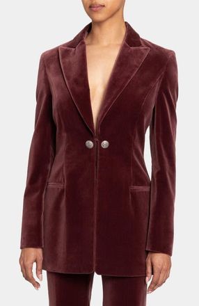 Santorelli Milli Long Velvet Jacket in Luxury Stretch Velvet in Dusty Mauve at Nordstrom, Size 10