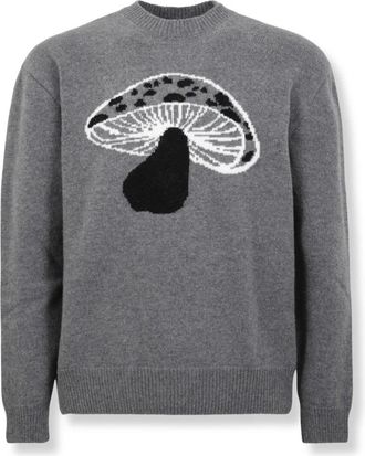 Msgm Msgm, Truien & Vesten, Heren, Grijs, S, Wol, Fantastic Mushroom Wool Sweater