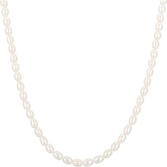 Ania Haie Pearl Necklace in Shiny Gold at Nordstrom